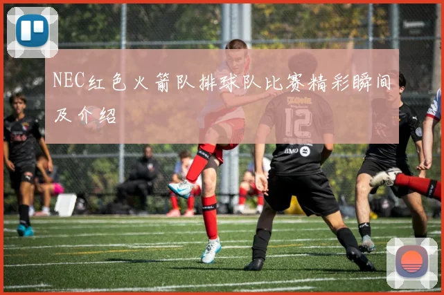 NEC红色火箭队排球队比赛精彩瞬间及介绍